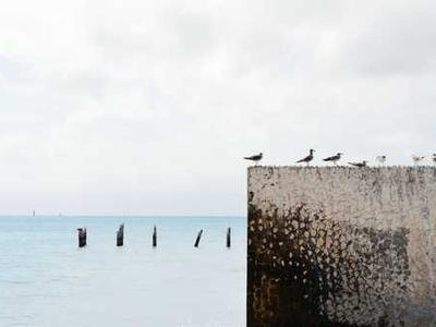 潍坊网站搭建流程全解析：从域名注册到网站上线的完整指南